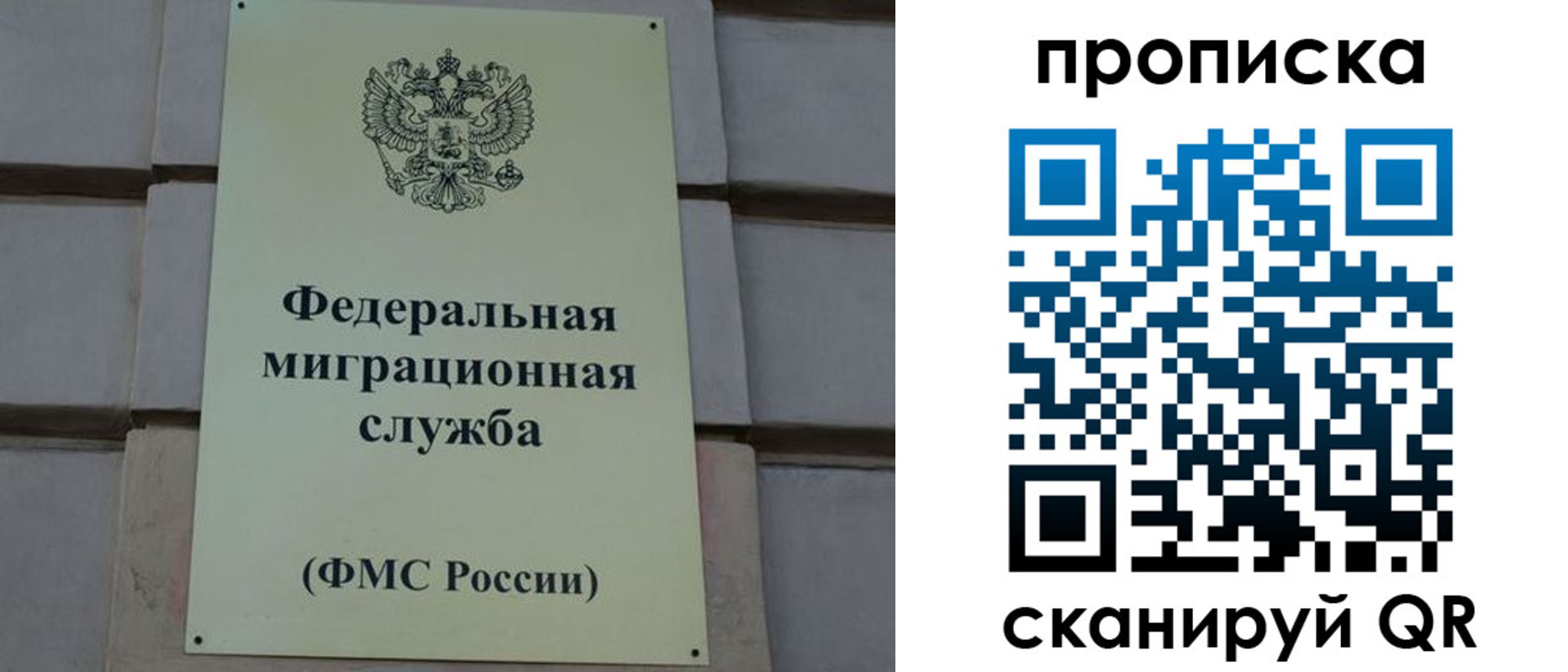 прописка поиск в Дрезне